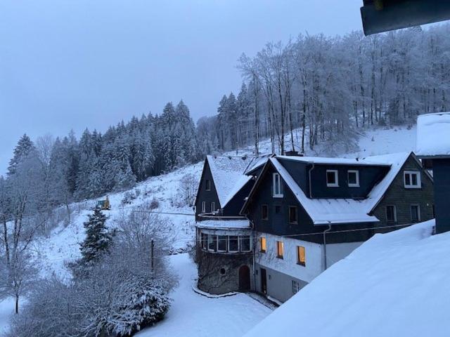 Baumwipfel Willingen (Upland)