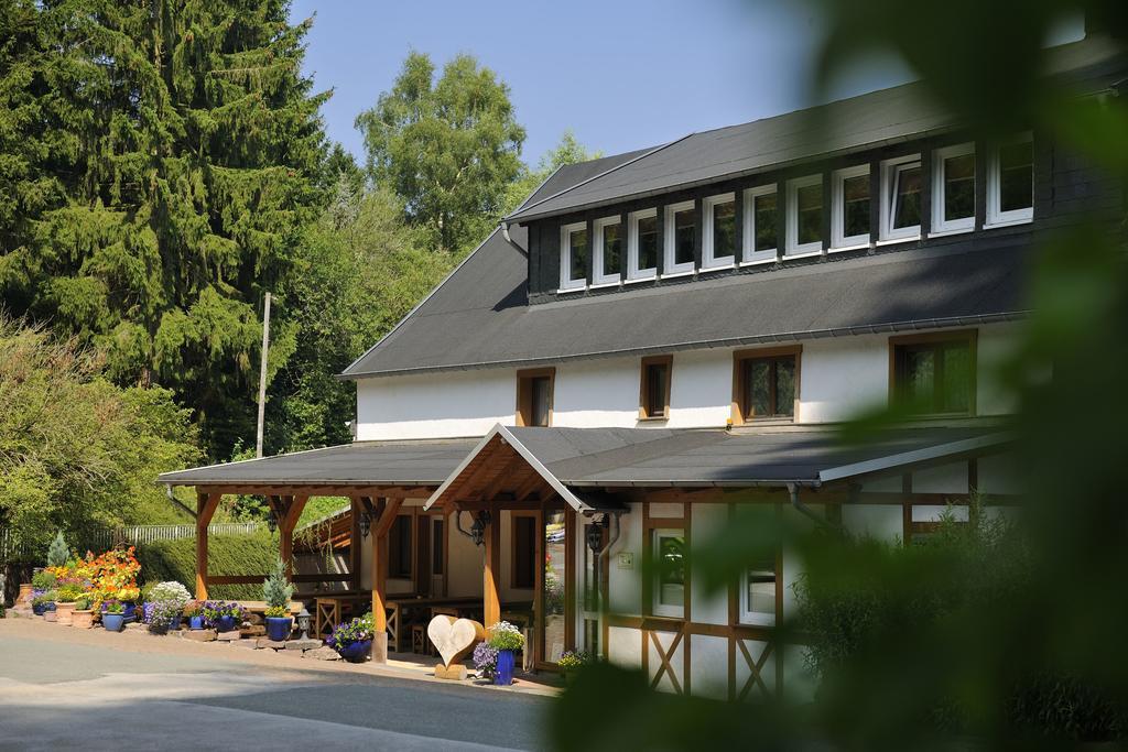 Baumwipfel