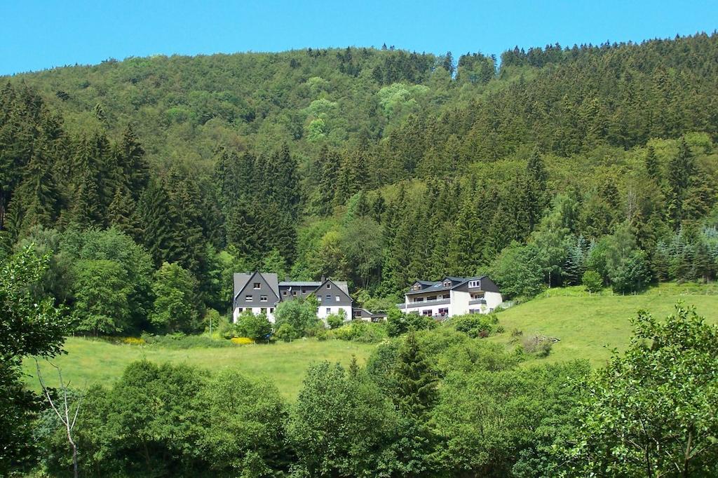 Baumwipfel