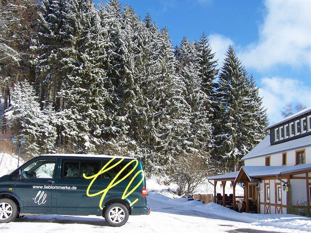 Baumwipfel Gasthof Willingen (Upland)