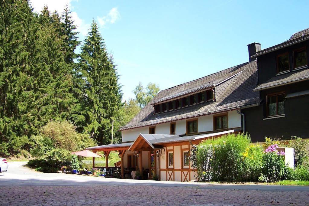 Gasthof Baumwipfel Willingen (Upland)